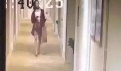 唐山饭馆爆料视频播放,一探究竟背后的真相