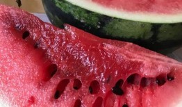 有瓜吃最新爆料,有瓜吃最新爆料，带你一探究竟！